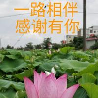 高初2头像