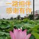 高初2头像