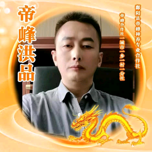实真清洗设备头像