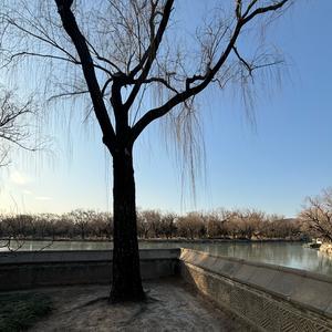 奫忶居士头像