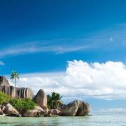 嘉然专属工具人的个人资料头像