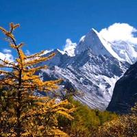 俺是洛阳人头像