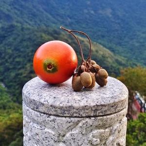 随风景里头像