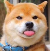 朱俊宇的个人资料头像