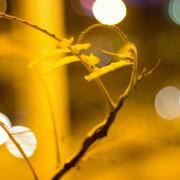 undefined的个人资料头像