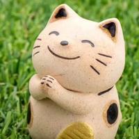 进取光束81头像