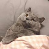 用户1090679940196头像