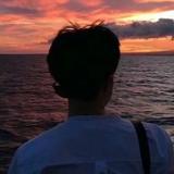 大白猫小地瓜头像