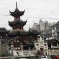 15338520263头像