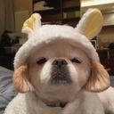 天堂比不过家乡啦的个人资料头像