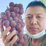用户9838474464586头像