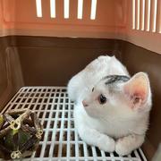 Ambition723的个人资料头像