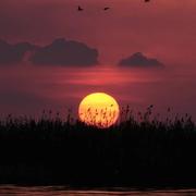 杰奏小蓝调的个人资料头像