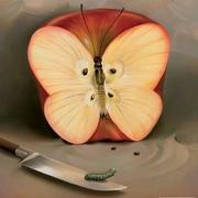 Sd的个人资料头像