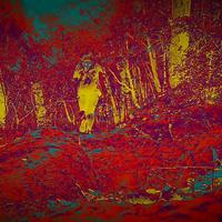 月暖亦如梵音头像