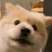 椰椰小卷的个人资料头像