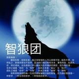 狼行天下4408头像