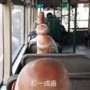 bug制造机疯狂的的个人资料头像