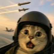 把实验报告投到ECIR的个人资料头像