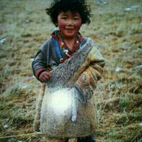 用户7883129291972头像