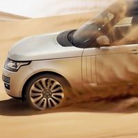 老司机也要安全驾驶头像