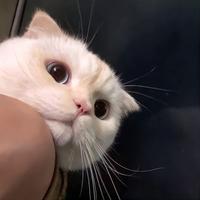 用户8614163111219头像