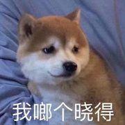 霜风的个人资料头像