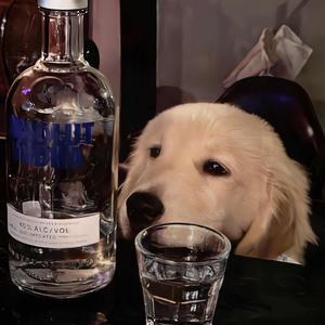 帆头像