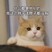听风念故人9128头像