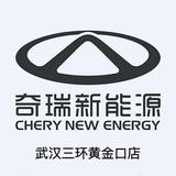武汉三环新能源汽车头像