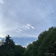 互联网审核员的个人资料头像