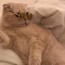 迷离同学的个人资料头像