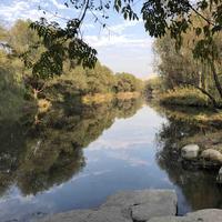 v天一v生水v头像