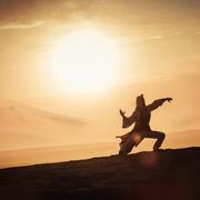 Fiercebattle的个人资料头像