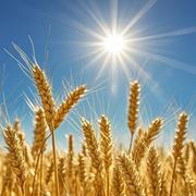 有所事事的个人资料头像