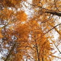 用户3172783898698头像