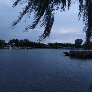 空山新雨Z头像