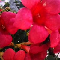 老余19620412头像