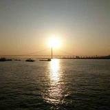落日余晖3851头像