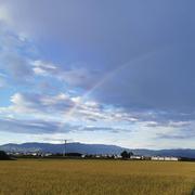 EricLu的个人资料头像