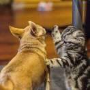 在掘金74582的个人资料头像