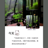 nanzhujuw头像
