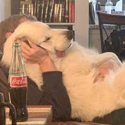 几欢505的个人资料头像