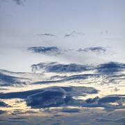 ukiki的个人资料头像