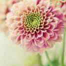 爱美食的太空飞船的个人资料头像