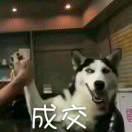 用户7709555715555头像