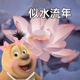 用户2828917326068头像