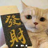 无名X的人头像
