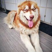 Xianue的个人资料头像