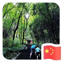 一如既往76343头像